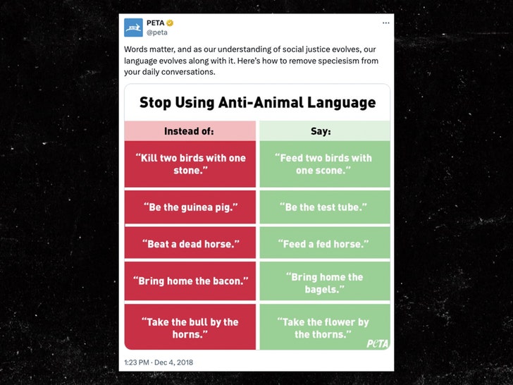 tom brady peta x 1