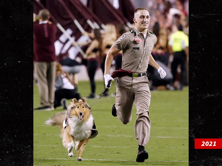 Reveille texas a and m getty 1