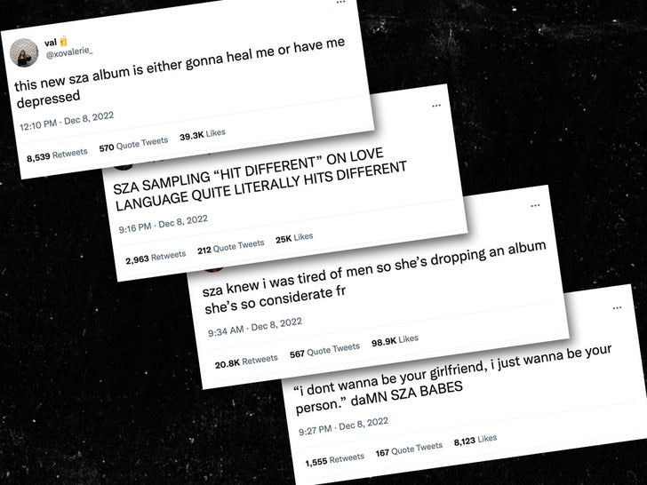 4af580f419dc4db289163de7e5286aa4_md Twitter Reacts To SZA's New Album