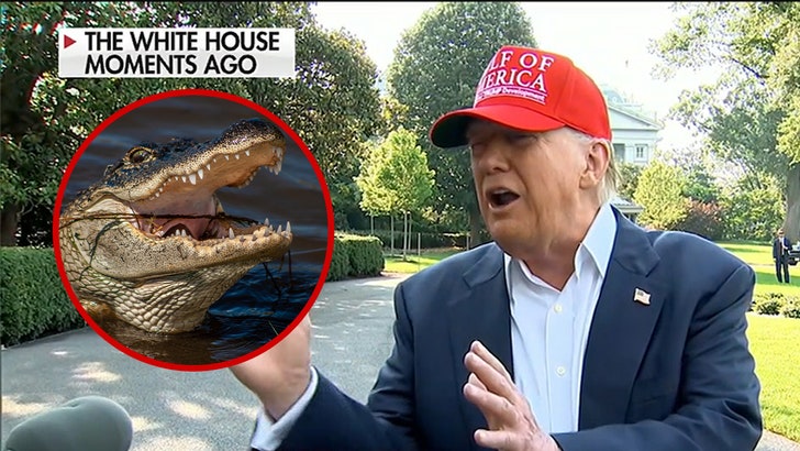 4ba921b443cd47d2a1e837dac98f3eaf_md 070125_trump_alligator_alcatraz_kal