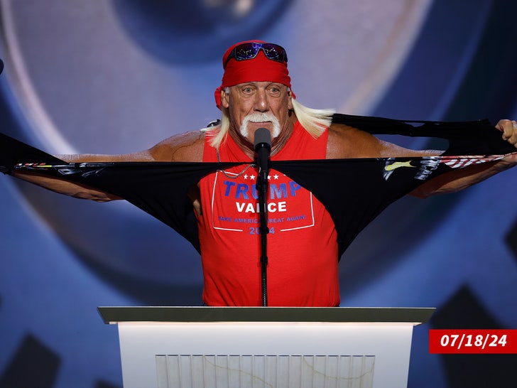 hulk hogan rnc sub