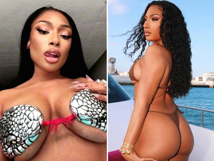528bf1ab462f4c268347f83ceb28733d_md-1 Megan Thee Stallion's Hot Shots