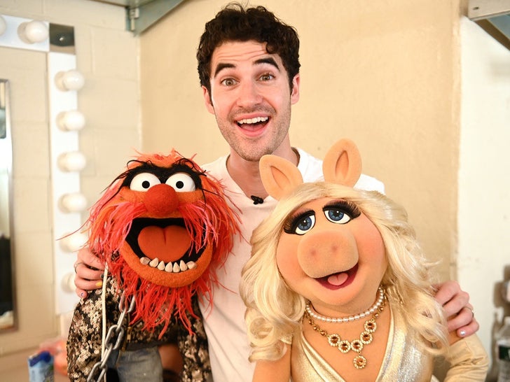 534c8113566145cb9e9a1836b24f3948_md Celebs With Muppets