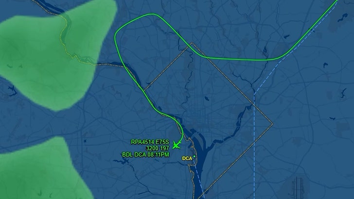 53644b829504471aa8ca7e9e78c1cc5d_md 013125_aborted_landing_kal