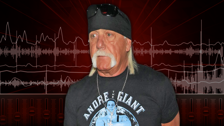 544d084ef7884b5798b3c7b5e61fc3c9_md hulk-hogan-Audio-Template-1