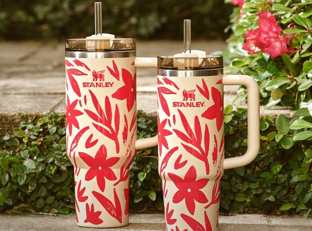 54608425-87f3-41ef-a160-f3efc59e57e3_1744740915 stanleytop.jpg