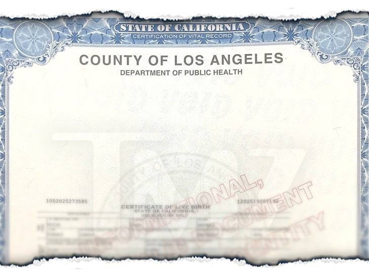 59af4d9da85f4b38af5f968f963919df_md rocki irish mayers birth certifcate launch 2