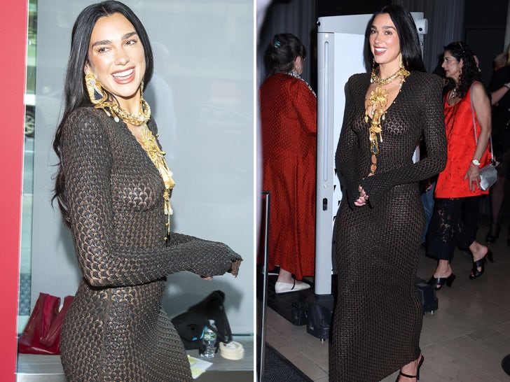 5b259f70ff3a4442af46078affebd722_md Dua Lipa Wearing A Sheer Dress At The Chaplin Award Gala