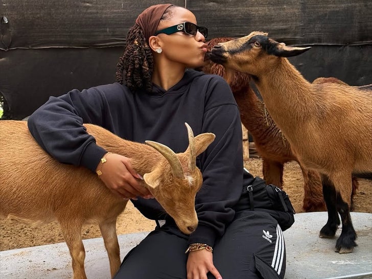 5c5704b56cc343f28097f900029c66fd_md Halle And Chloe Bailey Hanging Out With Animals!