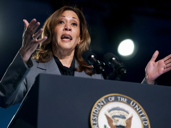 5da94b7dd7294fbfa2bd6cba58550e34_md Kamala Harris On The Campaign Trail
