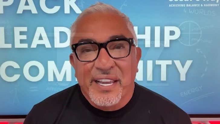 5df5913a6c0d4dccaa7365cbc8c14f4f_md 040825_cesar_millan_kal