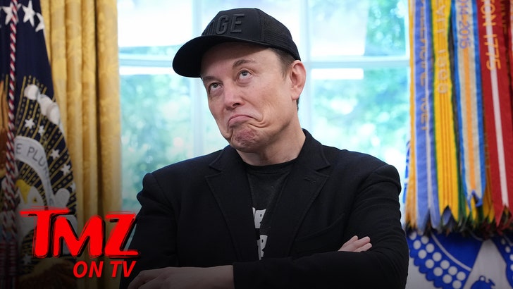 5e12c84cc9f547ba9a2a56861af50a7e_md-1 elon_musk