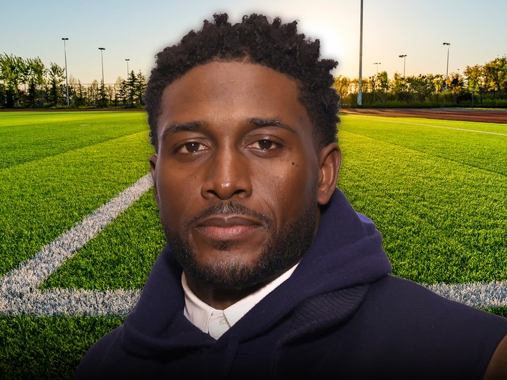 reggie bush turf main getty