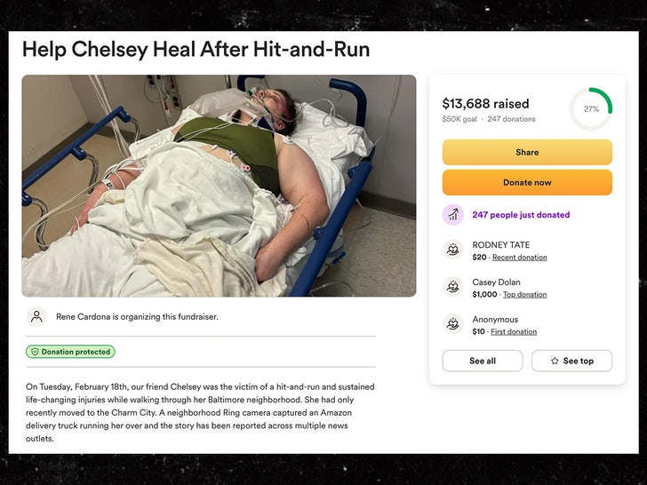 5e44f400f61f4439aeb31c52c4a072aa_md-1 hit and run chelsey go fund me page sub