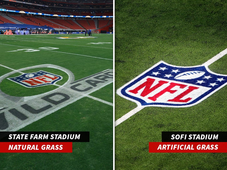 natural-grass-v-artificial-grass-getty-2