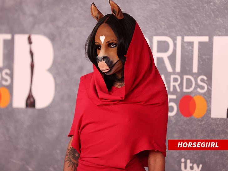 5e97c16f82354102a1b48a2b37327352_md HorsegiirL