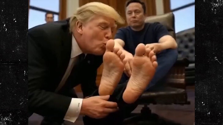5f01fddc64ea45aca5cdf90edbcf1bbf_md 022425_trump_musk_ai_kal