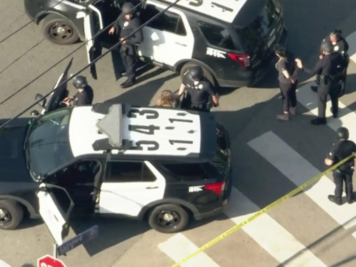 Weezer Member's Wife Shot in Shootout With Cops During Police Chase