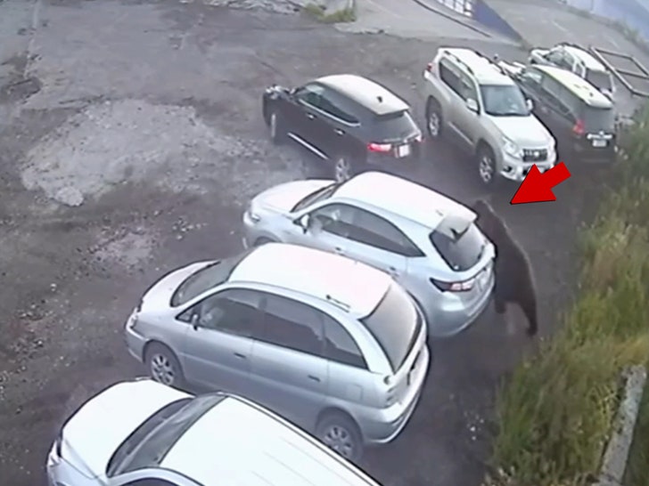 092625-man-escapes-bear-chasing-car