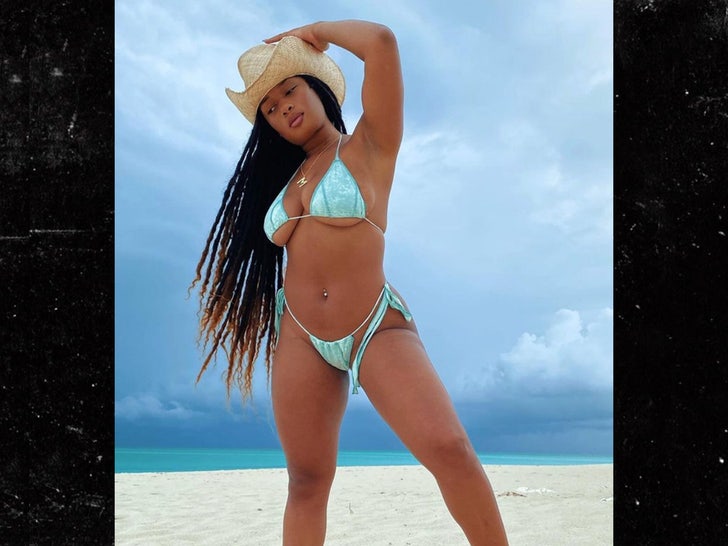 63de47f0426a44a09c1f92d113aff964_md megan thee stallion sub 3