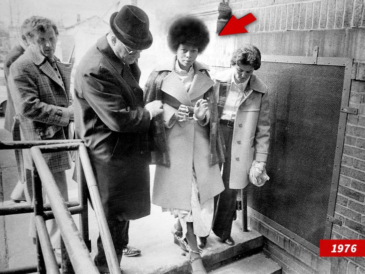 Assata Shakur sub getty swipe