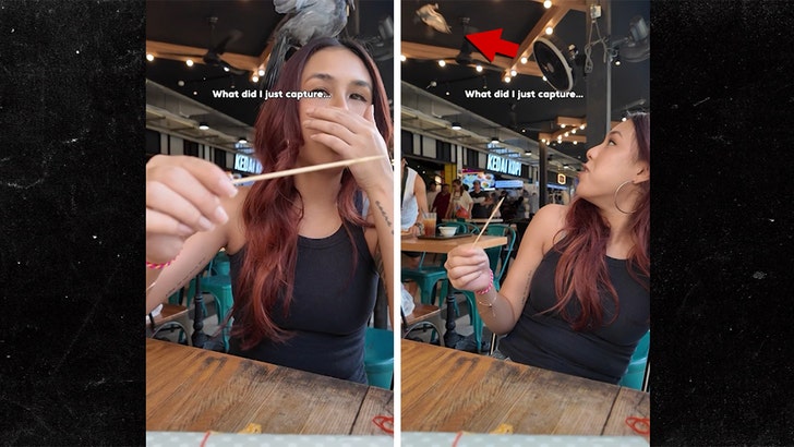 64ec03271c15455aa7f38cb14af7fa77_md 030525-pigeon-woman-kal