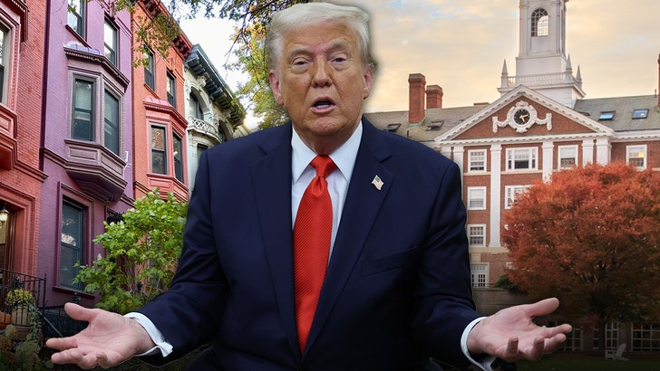 658869ec34284d29b69e54e86018dd0c_md donald-trump-harvard-harlem-main-getty-2
