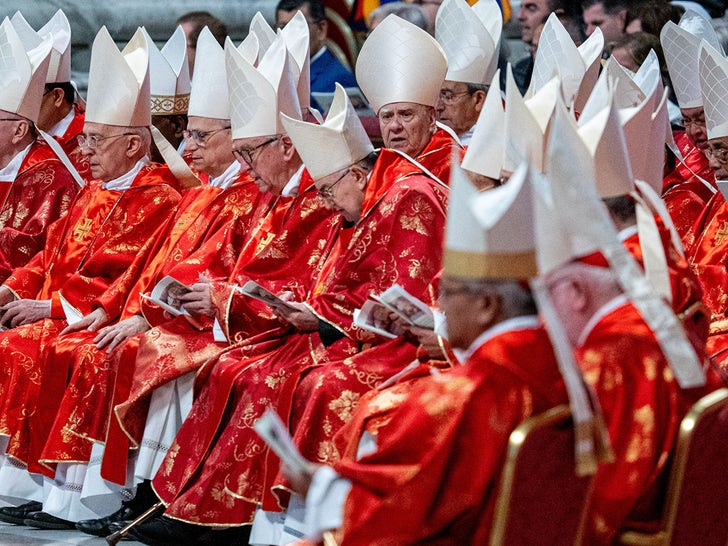65913581962143acb6e22c00c237a9ac_md Cardinals Special Mass Before The Start Of The Conclave