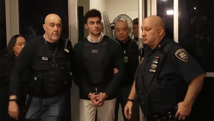 65bf883e30a54343a4f20f7baca7efae_md-2 022125_luigi_entrance_kal_v2