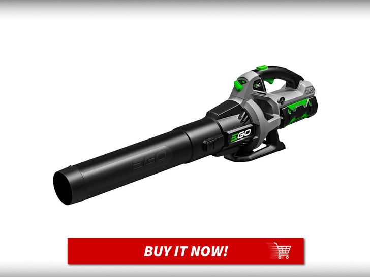 66880331d78446bcb18d3fb4f188a237_md EGO-Power-3-Speed-Turbo-Cordless-Leaf-Blower-MAIN