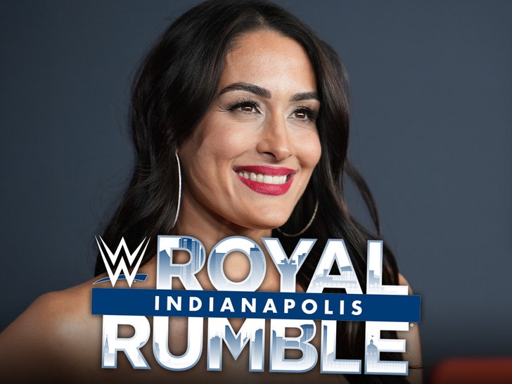 66d7e655eac04d3f999744d9a81db126_md nikki. bella wwe main alt getty