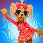 Real Housewives Star Makes Iconic Reveal as Yorkie on The Masked Singer