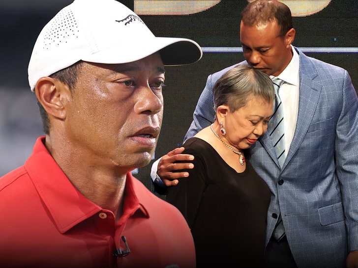 672c916ef49b408192350865389e64e8_md tiger woods and mom getty 1
