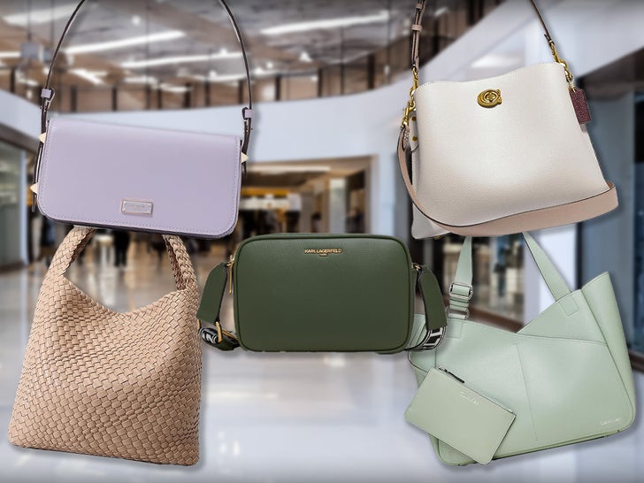 67bb048c67bb4d1b83ea5dca100cb7f0_md AMAZON-spring-handbags--PRIMARY