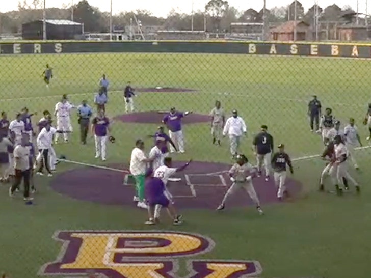 67e02ee780104b899e38d146b35c09b7_md PVAMU vs JSU baseball brawl