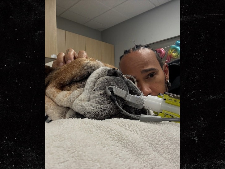 lewis hamilton dog in hospital insta 1