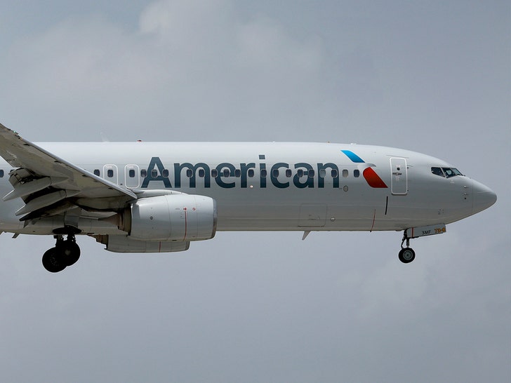 6c5fd43f075d4fa5b82d9d78184bac4b_md American Airlines Grounds All Flights on Christmas Eve Due to Technical Issue
