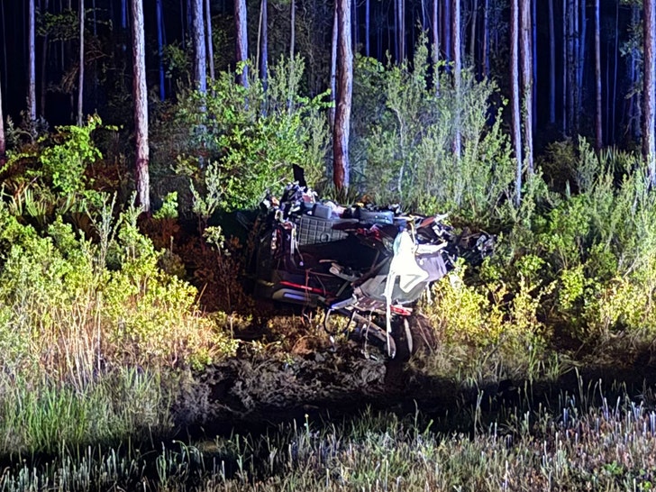 Maisey-O'Donnell-crash-Florida Highway Patrol-2
