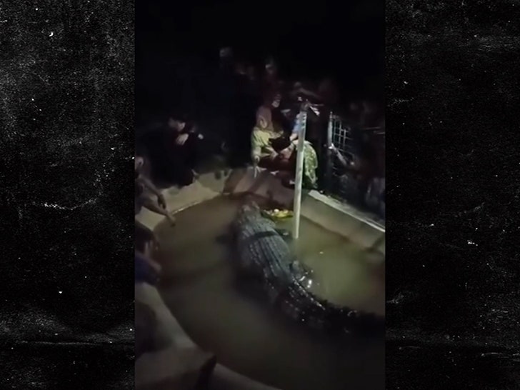 021825-crocodile-attack-primary-4