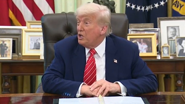 700a10b68a794d8b8d5a58932d5d8237_md 053025_elon_musk_donald_trump_diddy_kal