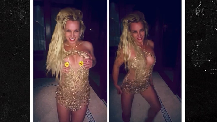 714de15a9e334bda8ee643ca8ddfbe63_md-1 081325_britney_spears_kal