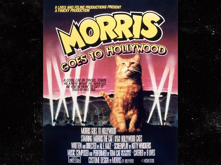 726254549d47411a9b4bf9261d1e0635_md John Erwin everett 2