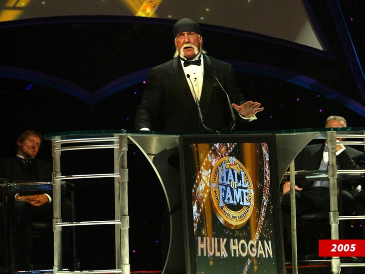 hulk hogan wwe hall of fame getty 1