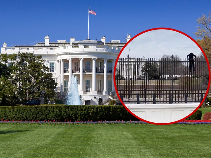 76766f6e9e85471b8670263777475697_md man climbing white house fence