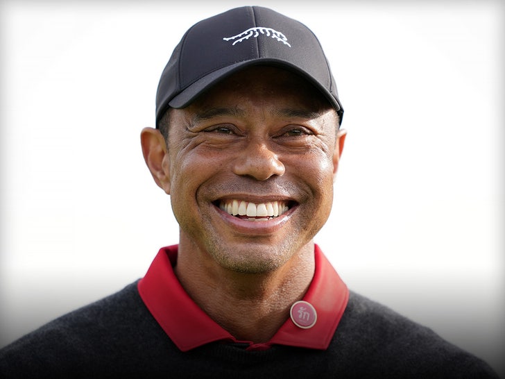 78fe9a4ced3c4f11a75b14cfa62e6d30_md tiger woods main getty