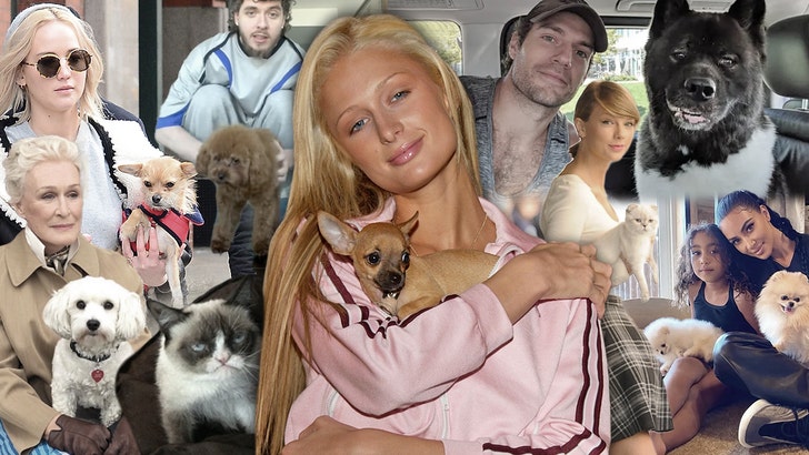 Celebrity-Pets-Timeline-Thumbnail