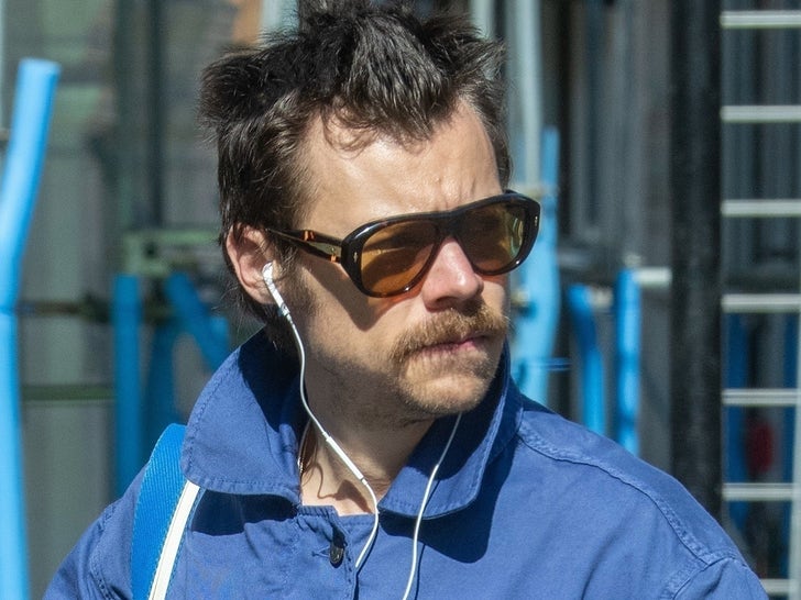 7ac191c7953f45c8a9232d976187ab40_md Harry Styles Rocks A Seventies-Style 'Stache During London Outing