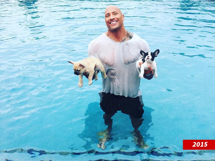 7b07482a3403470e89bb3d7ccfecbb48_md dwayne johnson and dog hobbs insta 2