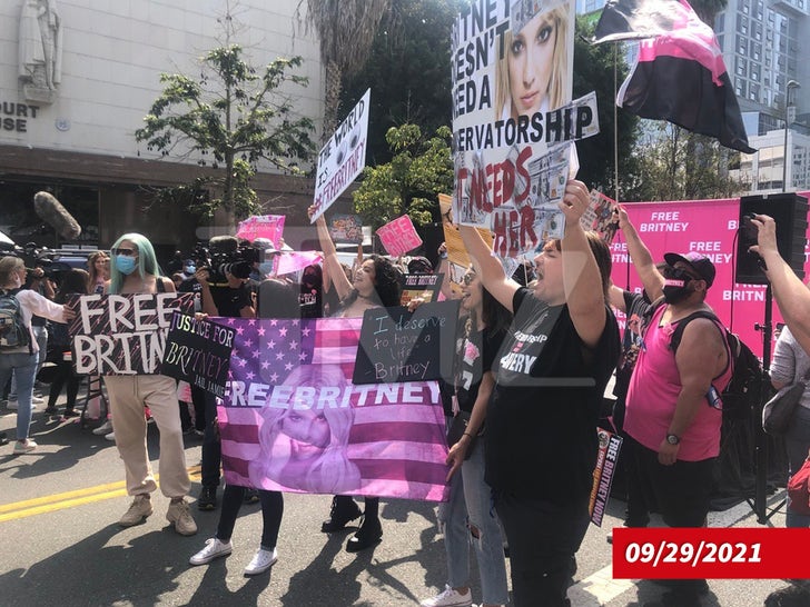 7b8deef00e284e36a8d6f2da7caf5cf6_md Free Britney Rally Outside Of Court
