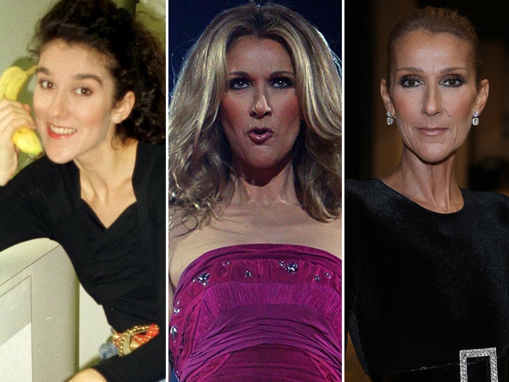 7ba202e46fbd4bc8a40fd90afa4232b3_md Celine Dion Through The Years
